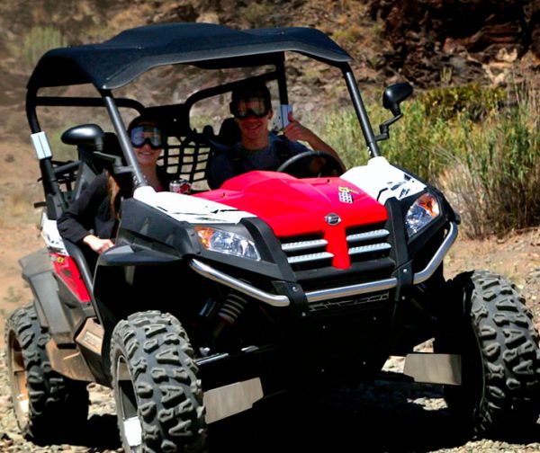 Couple in a Buggy