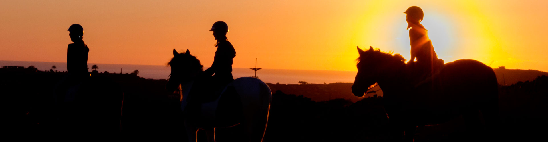 Horse Riding Tours